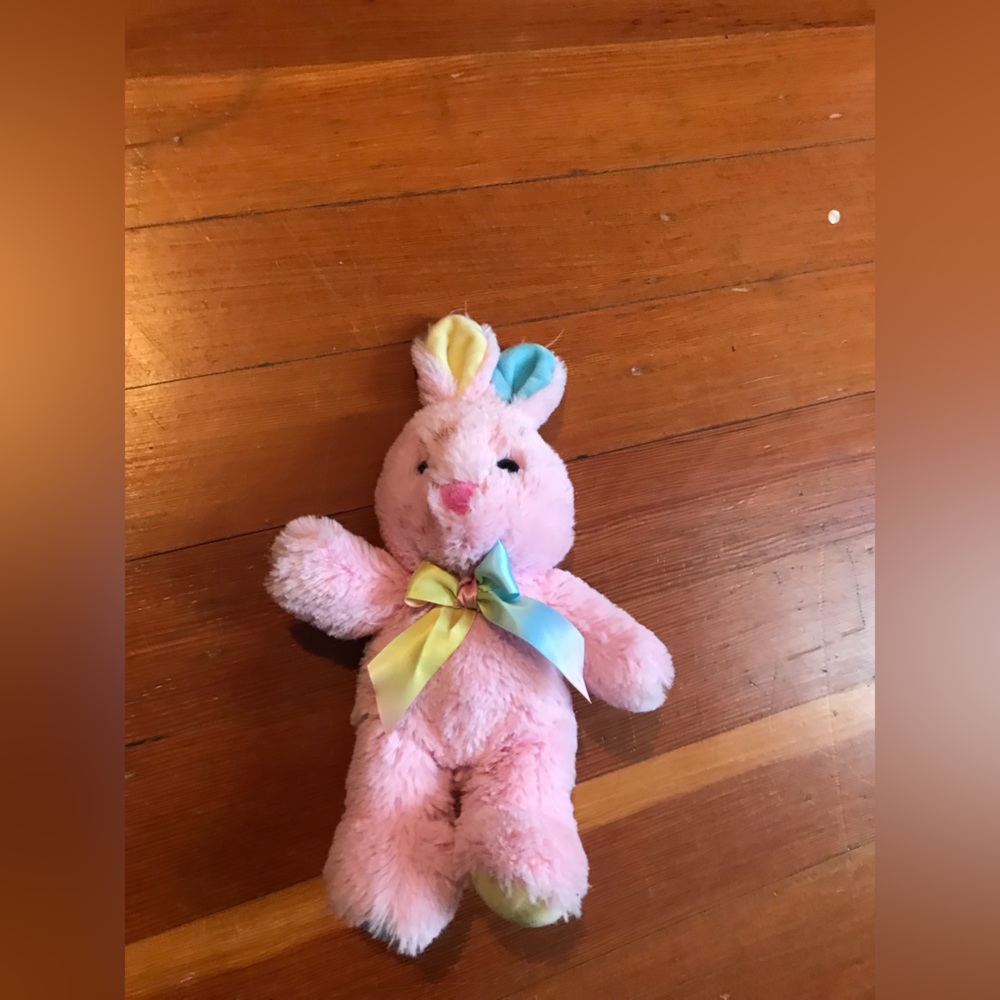 Stuffed Bunny